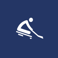 Immagine: Para Ice Hockey